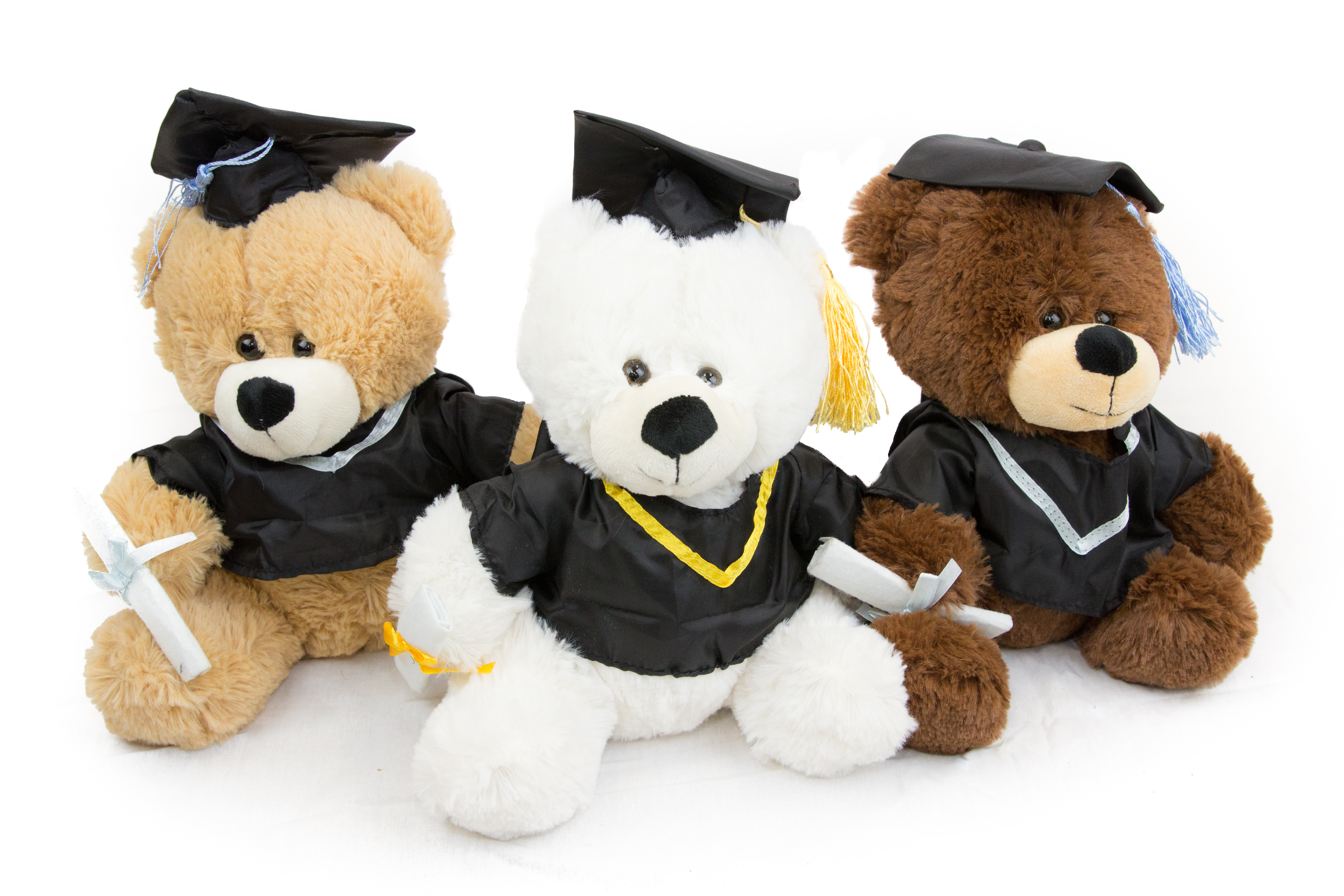 grad teddy bear