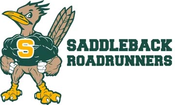 Saddleback High School